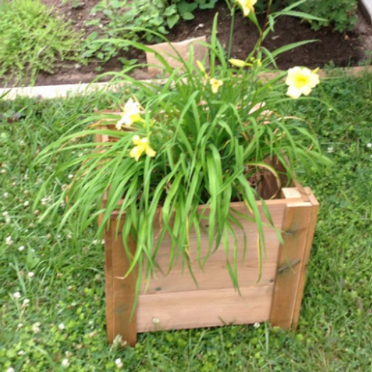 Flower Planter
